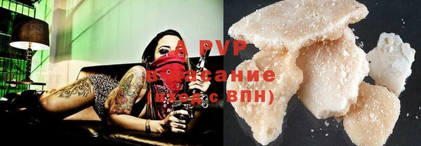 a pvp Белокуриха